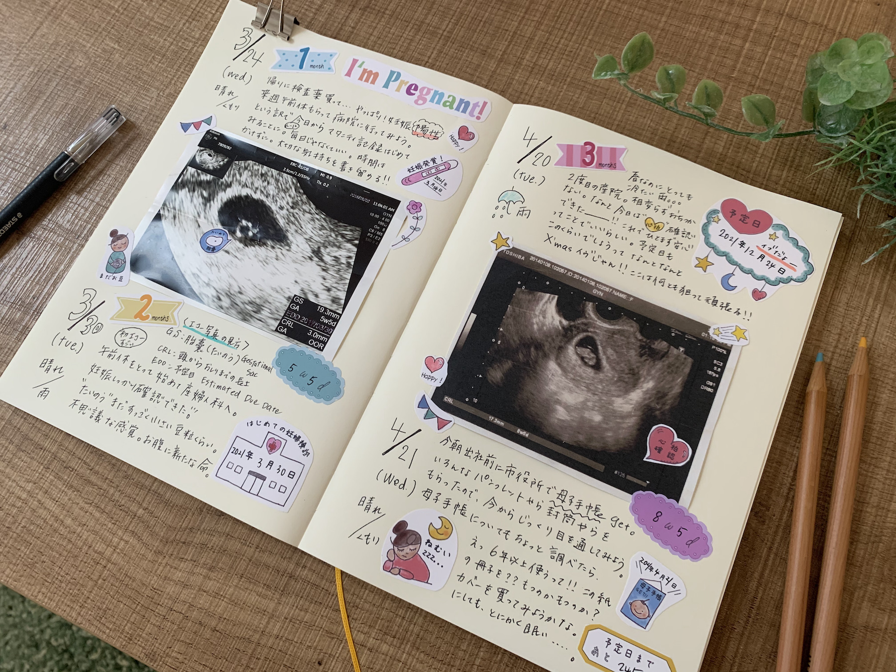 最新のデザイン 母子手帳 妊娠記録 マタニティ フレークシール アルバムクラフト
